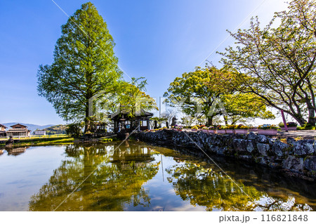 新緑の縫ノ池　【佐賀県杵島郡白石町】 116821848