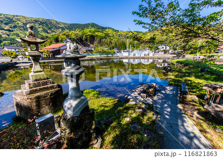 新緑の縫ノ池　【佐賀県杵島郡白石町】 116821863