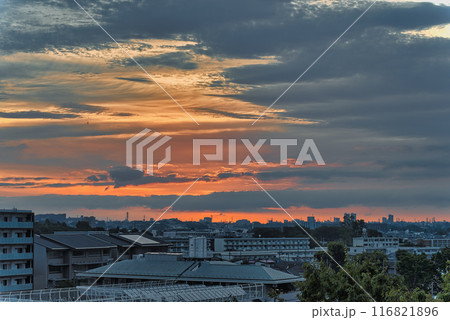 住宅街の上空に広がる朝焼け　日の出　住宅地の朝　早朝　朝焼け　朝日　太陽 116821896