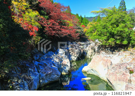 【大分県】快晴の猿飛千壺峡の紅葉(奥耶馬渓) 【大分県】快晴の猿飛千壺峡の紅葉(奥耶馬渓) 116821947
