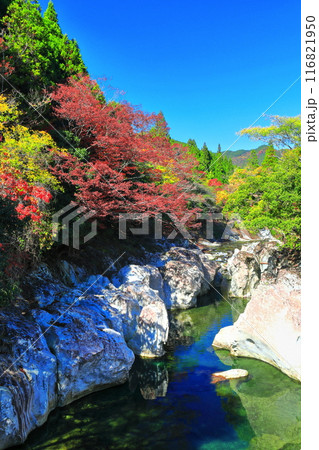 【大分県】快晴の猿飛千壺峡の紅葉(奥耶馬渓) 【大分県】快晴の猿飛千壺峡の紅葉(奥耶馬渓) 116821950