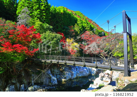【大分県】快晴の猿飛千壺峡の紅葉（奥耶馬渓） 116821952