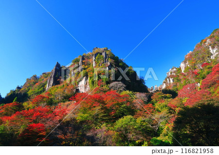 【大分県】紅葉の深耶馬渓（一目八景） 116821958