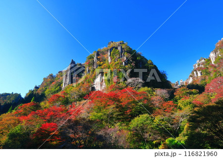 【大分県】紅葉の深耶馬渓(一目八景) 【大分県】紅葉の深耶馬渓(一目八景) 116821960