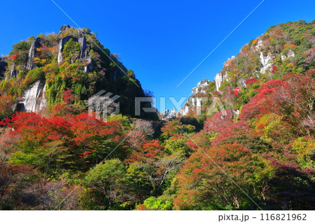 【大分県】紅葉の深耶馬渓(一目八景) 【大分県】紅葉の深耶馬渓(一目八景) 116821962
