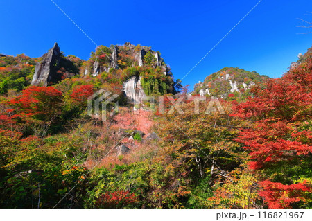 【大分県】紅葉の深耶馬渓(一目八景) 【大分県】紅葉の深耶馬渓(一目八景) 116821967