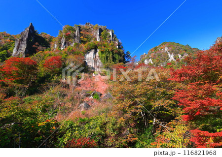 【大分県】紅葉の深耶馬渓(一目八景) 【大分県】紅葉の深耶馬渓(一目八景) 116821968