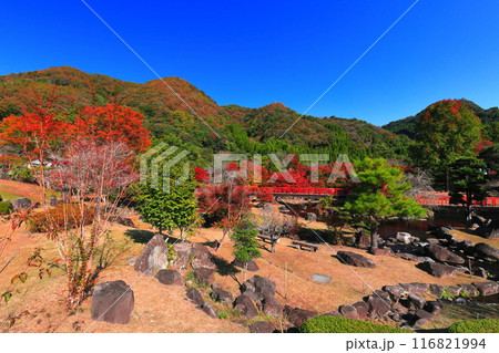 【大分県】快晴の溪石園の紅葉（耶馬溪ダム記念公園） 116821994