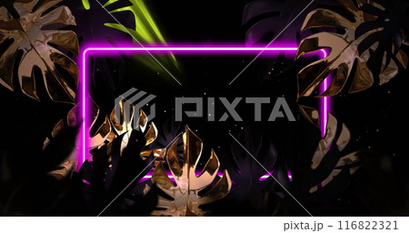 Image of flashing light beams and pink neon frame with leaves on black background 116822321