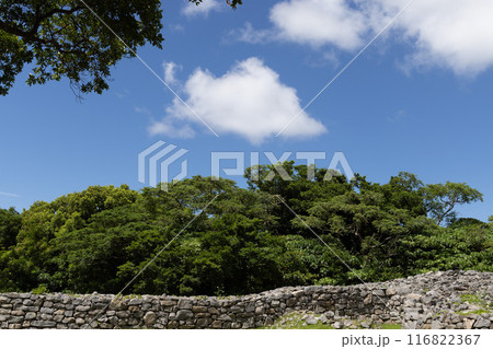 城跡の美しい景色 城跡の美しい景色 116822367