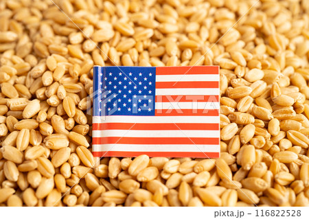 Grains wheat with USA America flag, trade export and economy. Grains wheat with USA America flag, trade export and economy. 116822528