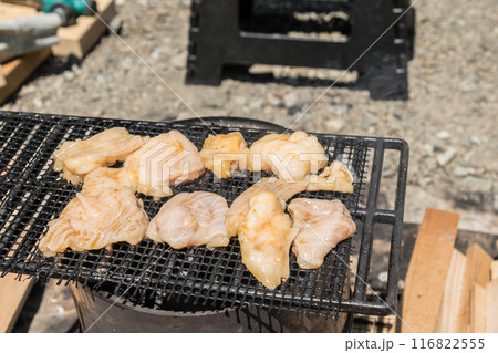【オートキャンプ場でソロキャンプ　網で白モツを焼く】　 116822555