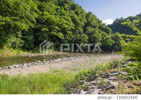 【初夏の道志川】 116822560