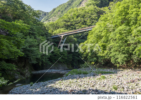 【初夏の道志川と青馬橋】 【初夏の道志川と青馬橋】 116822561
