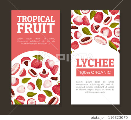 Lychee Tropical Fruit Banner Design with Raw Juicy Berry Vector Template Lychee Tropical Fruit Banner Design with Raw Juicy Berry Vector Template 116823070