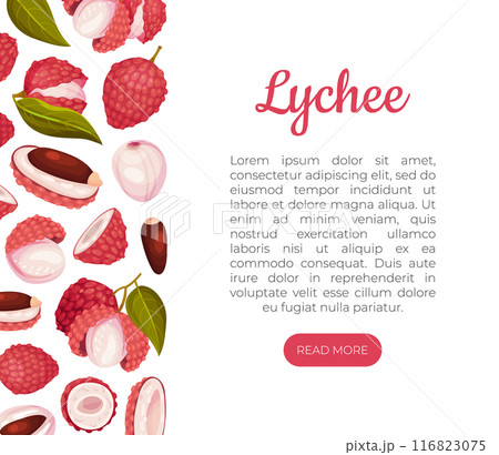 Lychee Tropical Fruit Banner Design with Raw Juicy Berry Vector Template 116823075