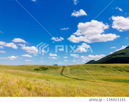 Summer landscape 116823181