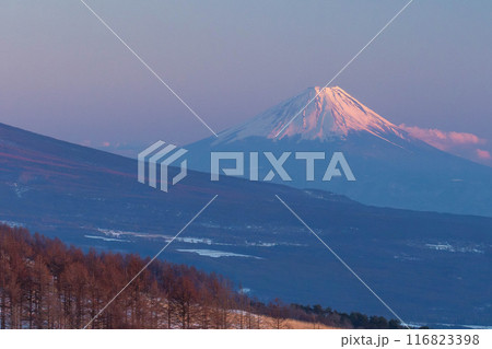 冬のビーナスラインから遠望する夕陽に染まる富士山 冬のビーナスラインから遠望する夕陽に染まる富士山 116823398