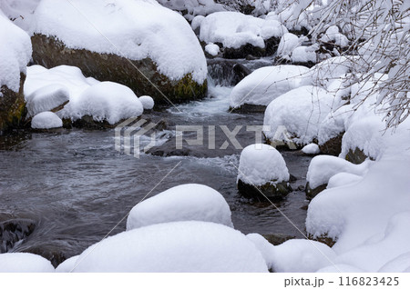 降雪翌朝の川俣川渓谷 116823425