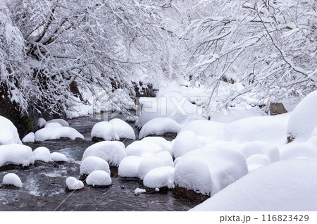 降雪翌朝の川俣川渓谷 降雪翌朝の川俣川渓谷 116823429
