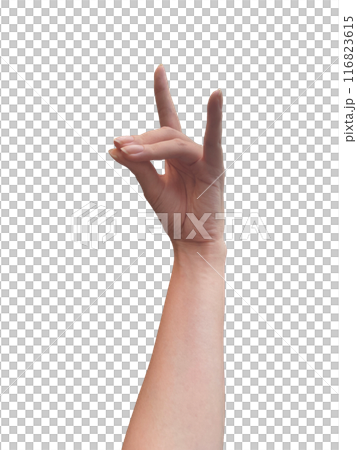 Woman's left hand depicting a fox 3 Woman's left hand depicting a fox 3 116823615