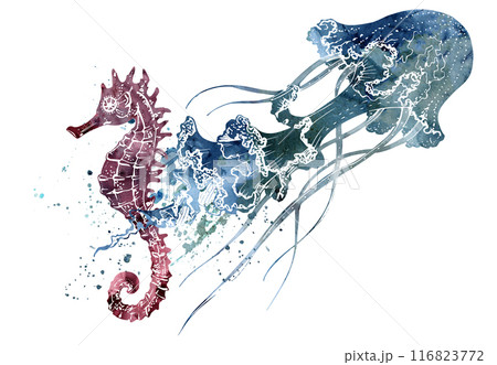 Watercolor and ink hand drawn marine life, sea ocean underwater creatures. fish, shells algae seaweed. Composition illustration, stylized, isolated on white. For zoo shop, aquarium, cosmetics, resort 116823772