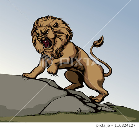 Vector drawing. An angry lion 116824127