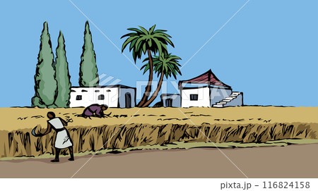 Vector drawing. Reapers in the field 116824158