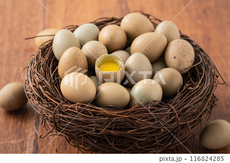 卵 たまご 玉子 116824285