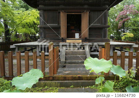 雨の八日堂 信濃国分寺 三重塔 雨の八日堂 信濃国分寺 三重塔 116824730