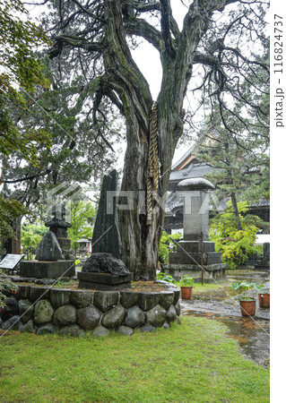 雨の八日堂　信濃国分寺 116824737