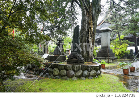 雨の八日堂　信濃国分寺 116824739