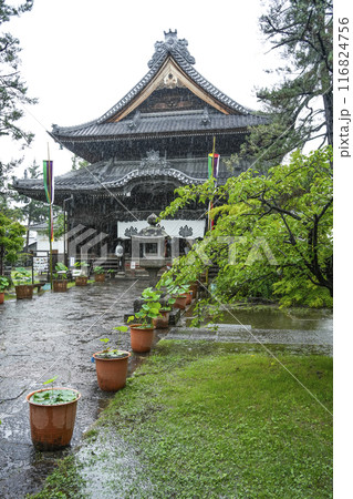 雨の八日堂　信濃国分寺 116824756