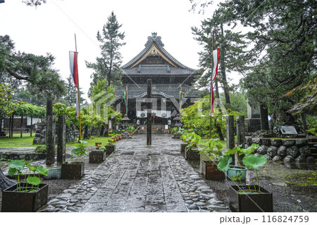 雨の八日堂　信濃国分寺 116824759