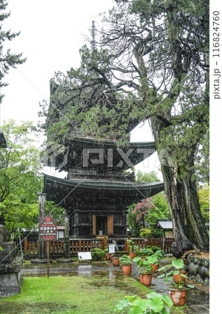 雨の八日堂　信濃国分寺 116824760