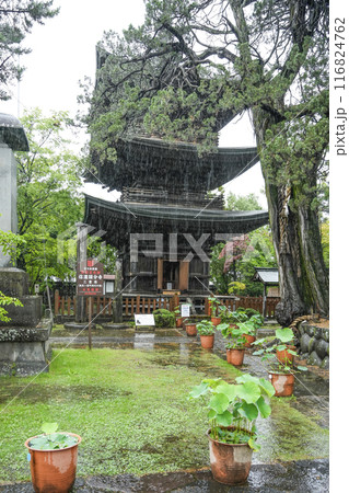 雨の八日堂 信濃国分寺 雨の八日堂 信濃国分寺 116824762