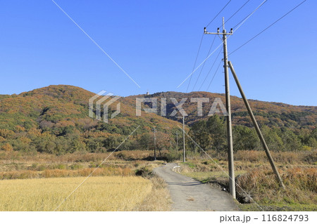 色鮮やかに紅葉した秋の快晴の宝篋山(ほうきょうさん)と、そこへ続く登山道 色鮮やかに紅葉した秋の快晴の宝篋山(ほうきょうさん)と、そこへ続く登山道 116824793
