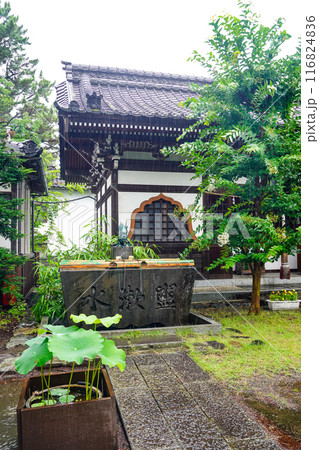 雨の八日堂 信濃国分寺 雨の八日堂 信濃国分寺 116824836