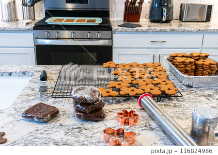 Freshly baked gingerbread cookies find their place on a cooling wire rack in a modern white kitchen, filling the air with festive aromas. Freshly baked gingerbread cookies find their place on a cooling wire rack in a modern white kitchen, filling the air with festive aromas. 116824986