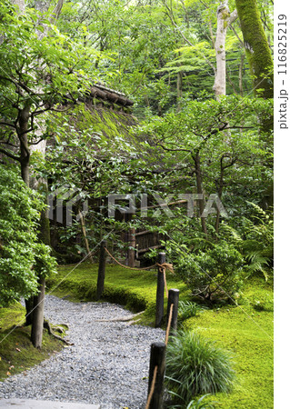 京・奥嵯峨　祇王寺（夏季） 116825219