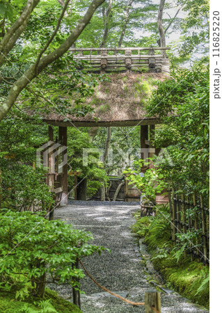 京・奥嵯峨 祇王寺(夏季) 京・奥嵯峨 祇王寺(夏季) 116825220