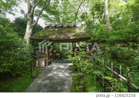 京・奥嵯峨　祇王寺（夏季） 116825258