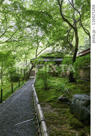 京・奥嵯峨 祇王寺(夏季) 京・奥嵯峨 祇王寺(夏季) 116825268