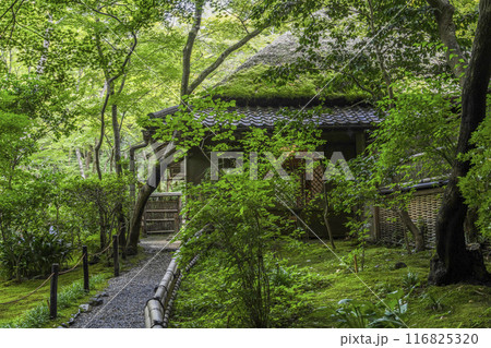 京・奥嵯峨　祇王寺（夏季） 116825320