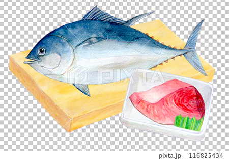水彩イラスト　まな板の上のマグロ 116825434