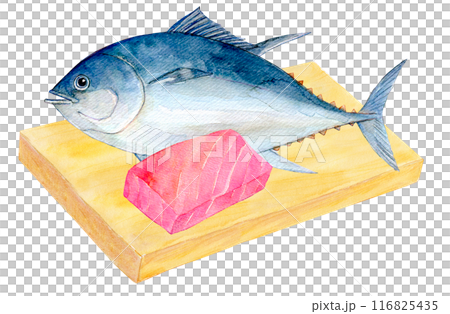 切板上的水彩插圖鮪魚 116825435