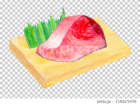 水彩イラスト まな板の上のマグロ 水彩イラスト まな板の上のマグロ 116825436