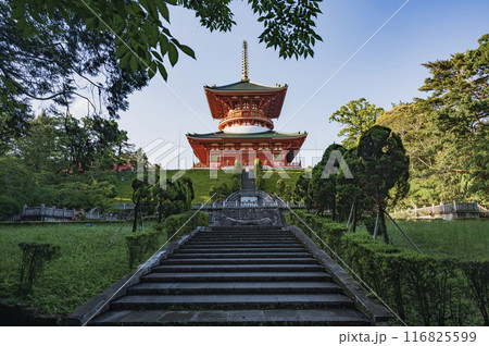 千葉 平和大塔(成田山新勝寺) 千葉 平和大塔(成田山新勝寺) 116825599