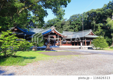 【香川県】香川縣護國神社（香川県護国神社）讃岐宮・拝殿　 116826313