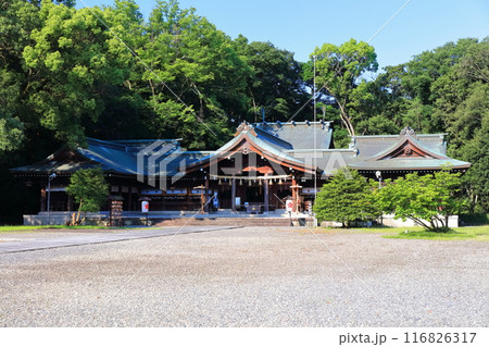 【香川県】香川縣護國神社（香川県護国神社）讃岐宮・拝殿　 116826317